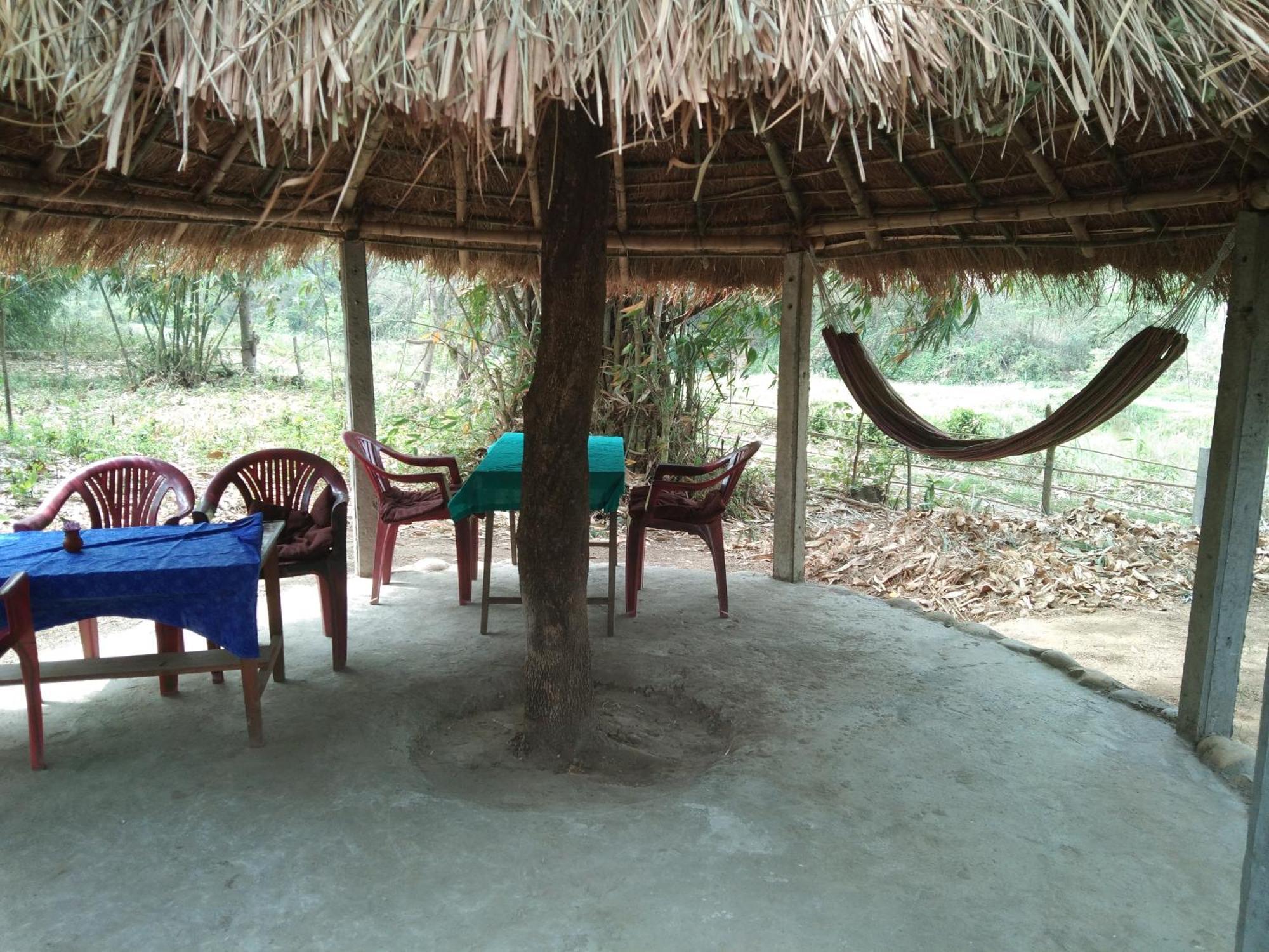 Chital Lodge Chitwan Exterior photo