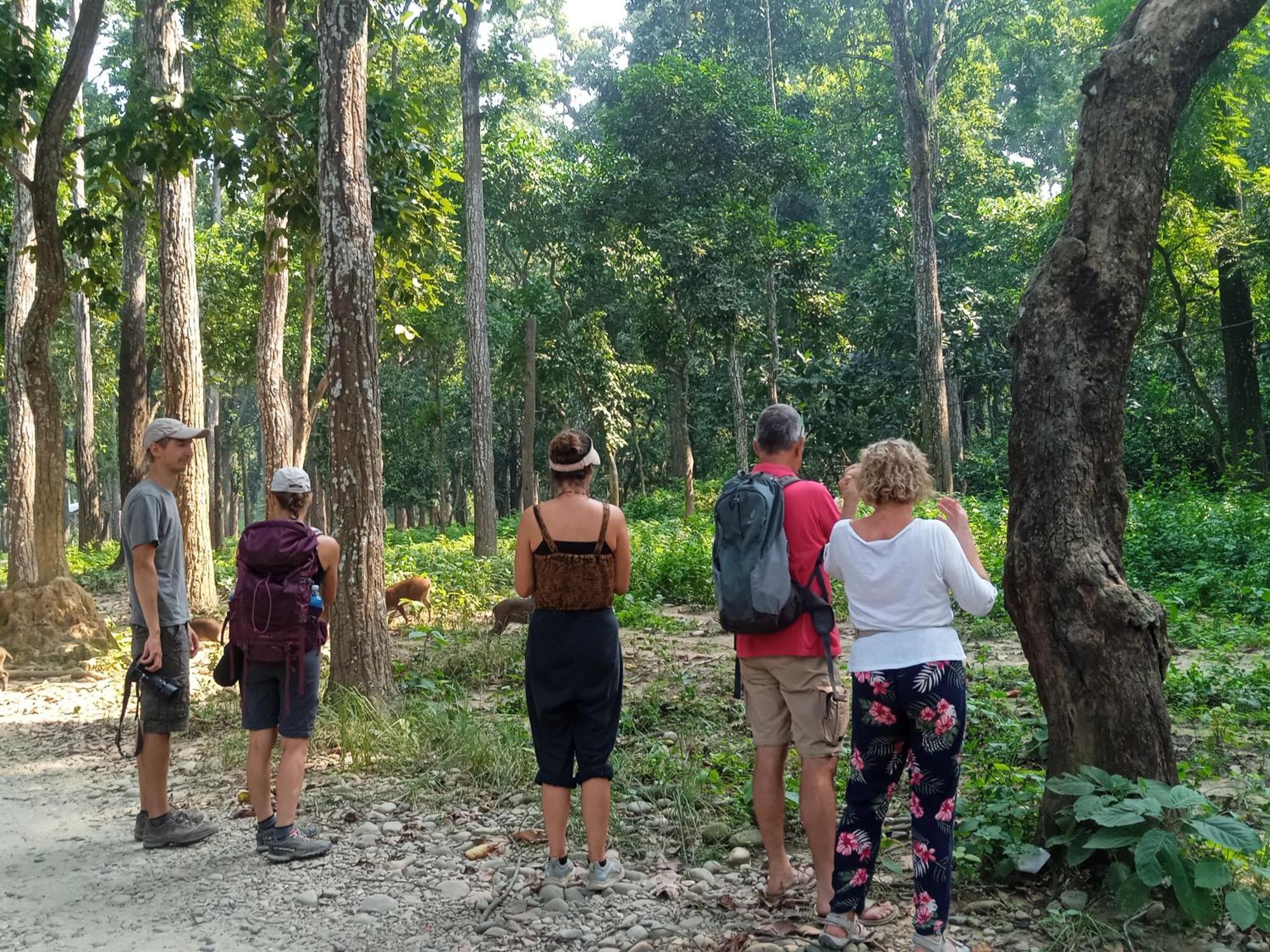 Chital Lodge Chitwan Exterior photo